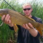 Angler holding a common carp along cattails with fly rod under arm.