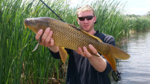 Angler holding a common carp along cattails with fly rod under arm.