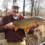 A smiling angler holds a large common carp with downtown Denver in the background.