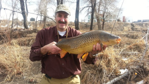A smiling angler holds a large common carp with downtown Denver in the background.
