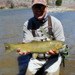 A fly fishing angler holding a golden colored rainbow trout streamside on a bright mountain day.