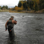 Wading fly fishing angler fights fish and prepares to net it