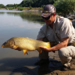 Crouched angler holding and admiring a well-lit golden colored carp.