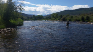 Solo fisherman wading in shallow river with sunny mountains as a backdrop