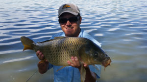 Flycarpin holding a sizable carp in partial shade with smooth water in background.