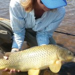 A woman holds and peers at a healthy looking common carp on the flats of a Colorado reservoir, with fly rod in lap.