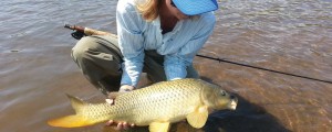 A woman holds and peers at a healthy looking common carp on the flats of a Colorado reservoir, with fly rod in lap.