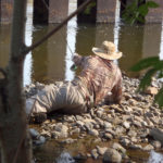 Fly fishing guide Chris Galvin lays on his side on the rocky edge of a river extending his fly rod to present to wary carp