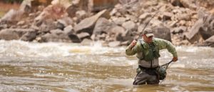 Man in fly fishing vest and waders prepares to net a Colorado River trout
