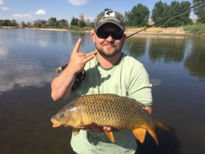 An angler on the South Platte River holding a large common carp caught on the fly.