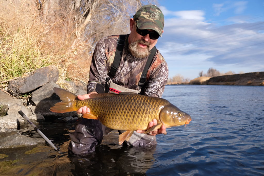 How to Fly Fish for Carp on the Denver South Platte // READING